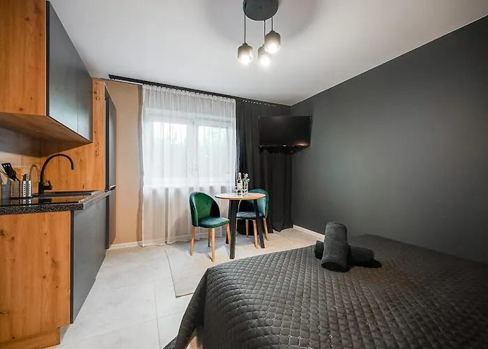 Apartmán Loft House Z Ogrodkiem 1 Rybnik (Silesia)